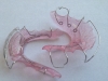 Light Pink W/ Opalescent Sparkle